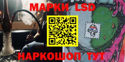 прущие грибы Партизанск