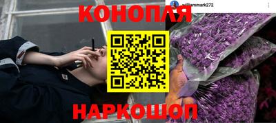 прущие грибы Партизанск