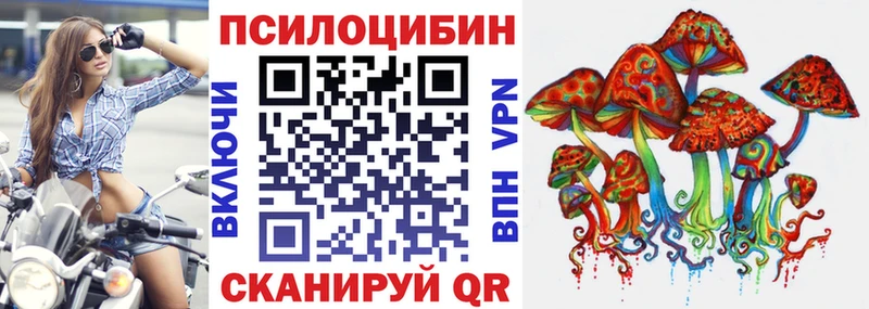 где купить   Чебаркуль  Псилоцибиновые грибы Cubensis 