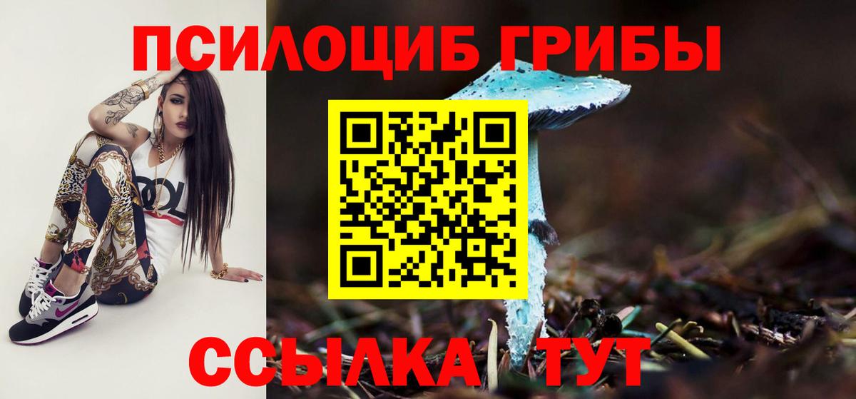 Псилоцибиновые грибы мицелий  купить  цена  Чебаркуль  Вход с VPN  Псилоцибиновые грибы Psilocybine cubensis 